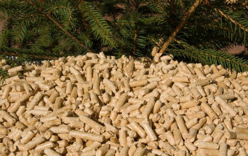 住友重機工業有限公司(SHI)在日本，韓國獲得生物質項目